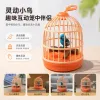 Juguete de la jaula del pájaro de la música de la emulación niños portátil con efecto de sonido pequeña jaula del pájaro puesto de tierra sobre juguetes divertidos del hogar details Picture
